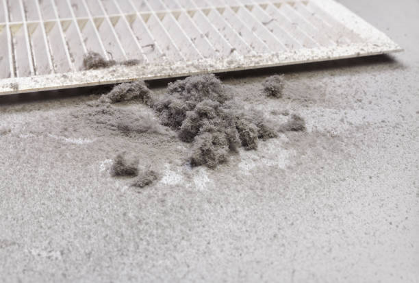 Best Air Duct Cleaning Near Me  in Memphis, FL
