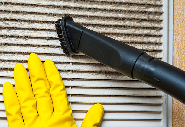 Best Ductwork Cleaning Services  in Memphis, FL